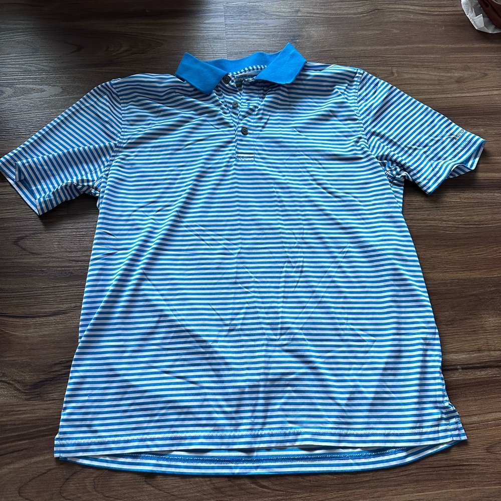 Blue striped polo